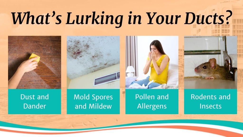 What’s Lurking in Your Ducts?